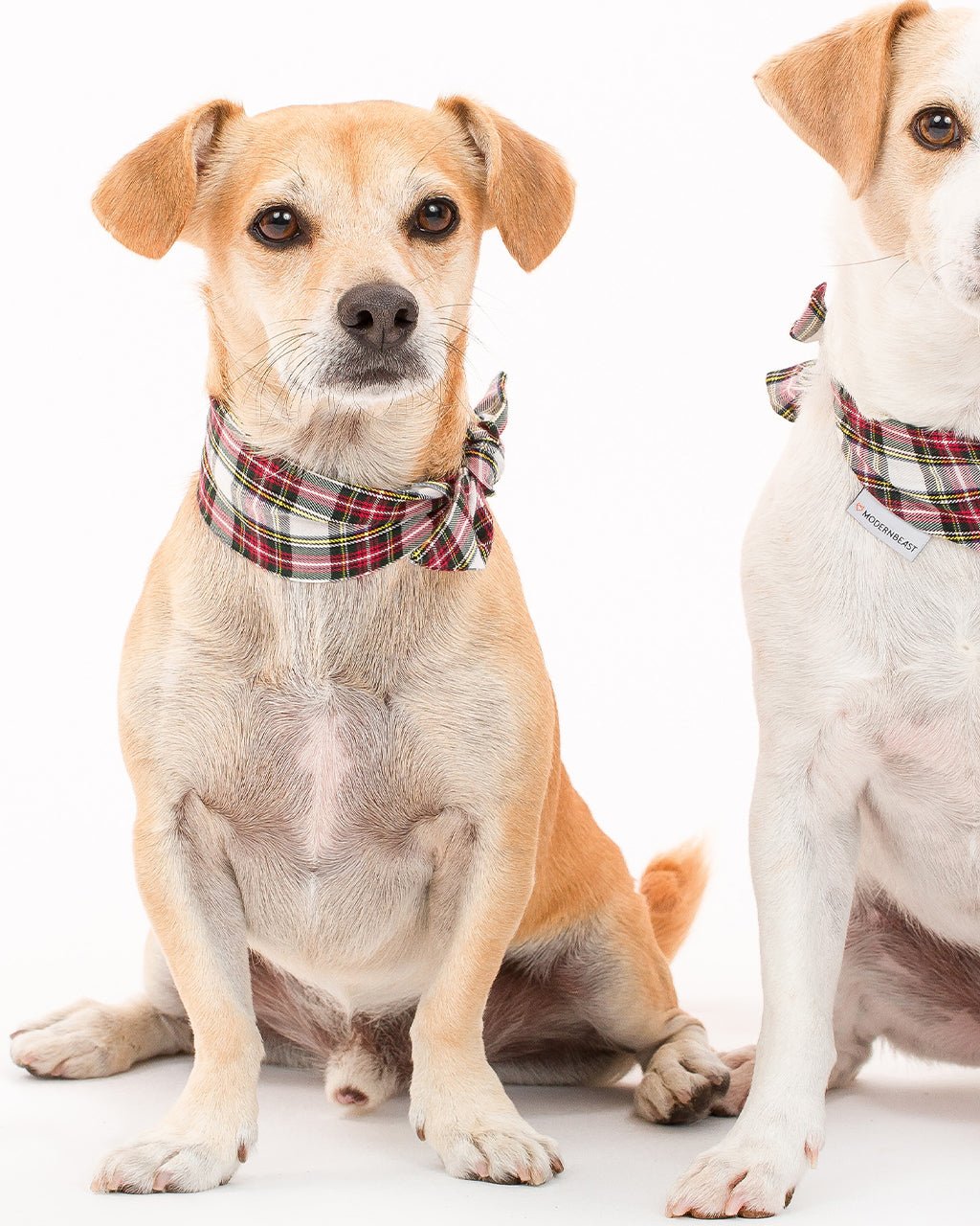Winter Dog Necktie – Bandanas & Neckwear by MODERNBEAST