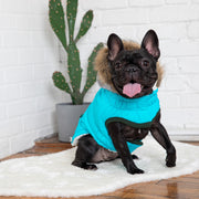Winter Sailor Dog Parka Coat - Aqua – Jackets & Coats by GF Pet.us