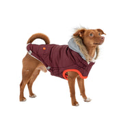 Winter Sailor Dog Parka Coat - Burgundy – Jackets & Coats by GF Pet.us