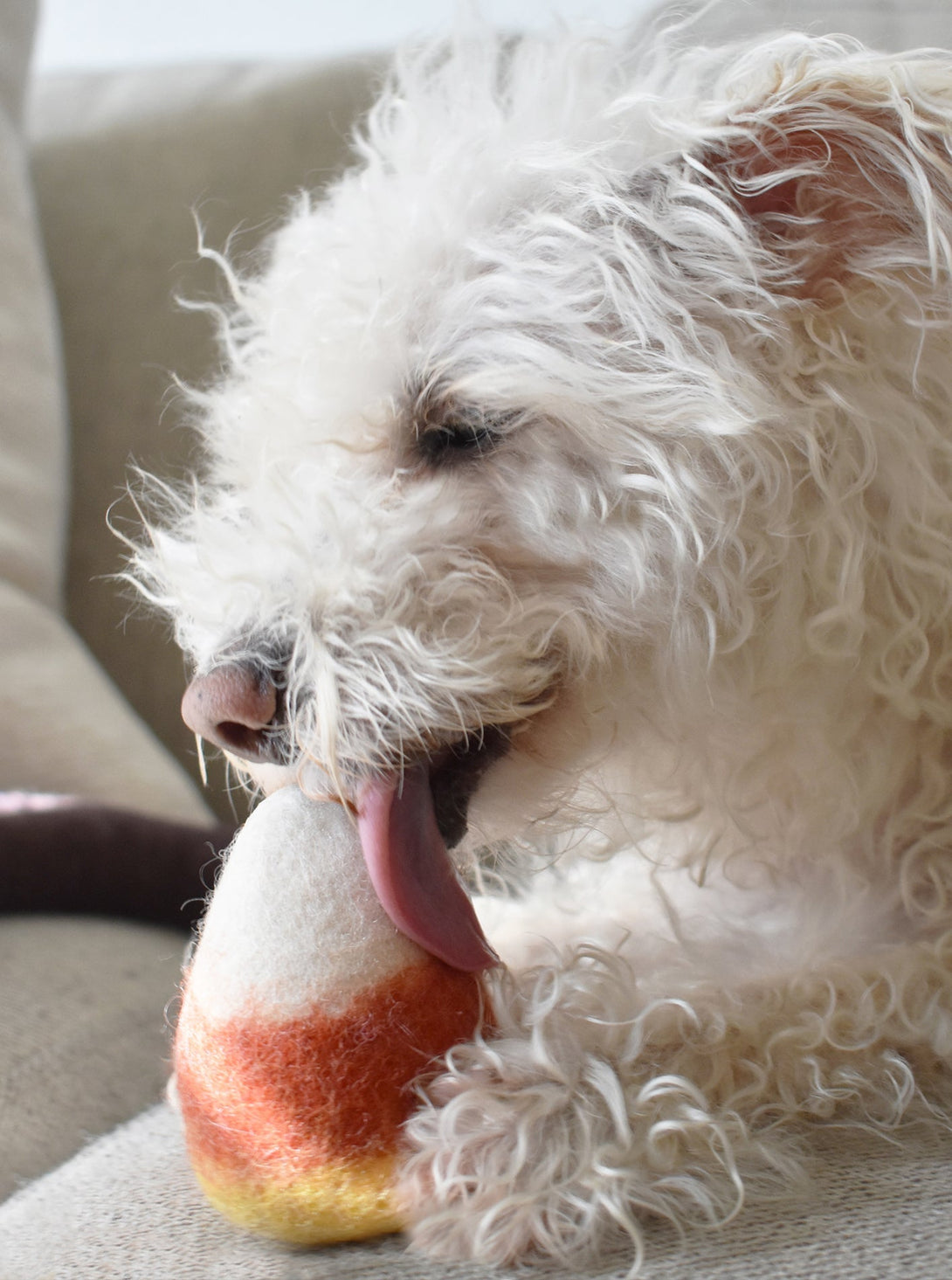 Wool Candy Corn Wool Dog Toy – Dog Toys by MODERNBEAST