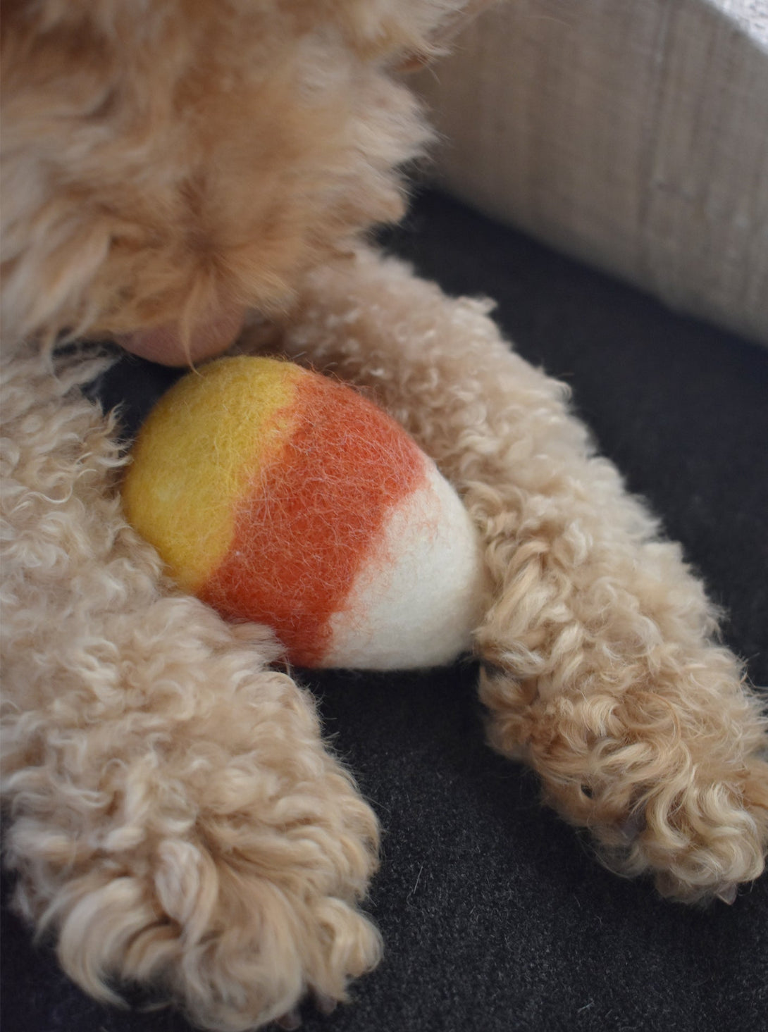 Wool Candy Corn Wool Dog Toy – Dog Toys by MODERNBEAST