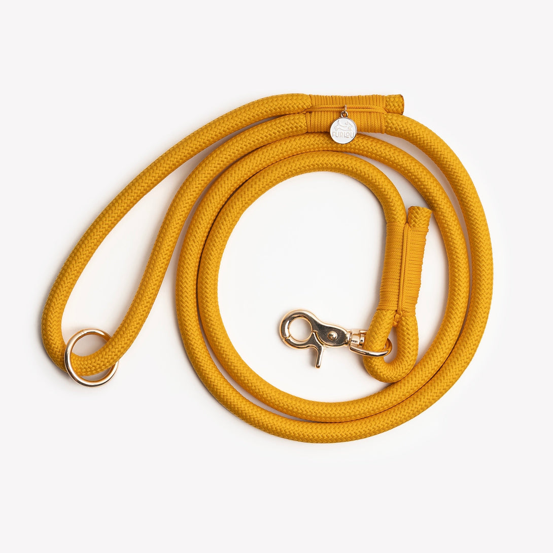 Yellow - Braided Rope Dog Leash – Dog Leashes by FURLOU