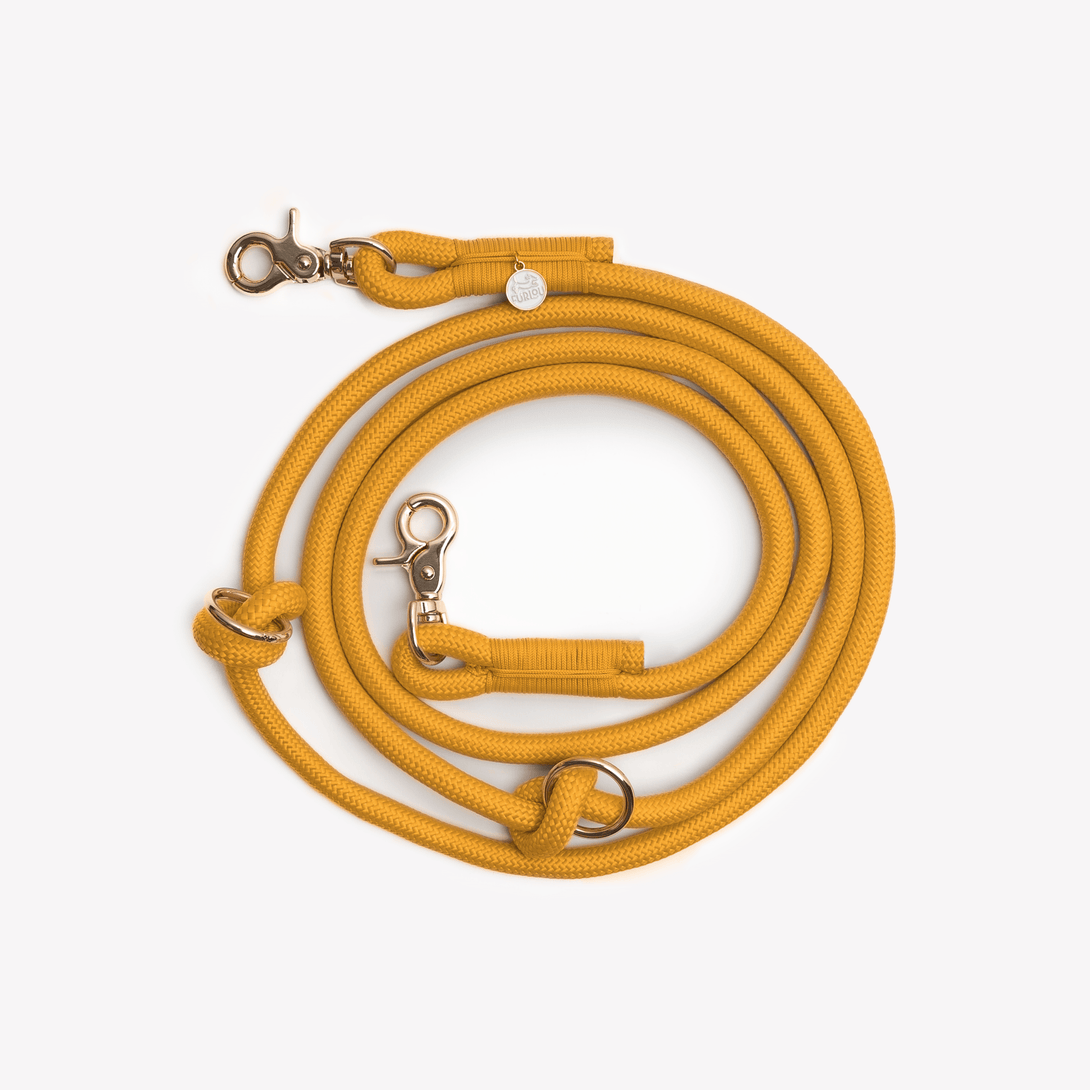 Yellow - Hands Free Braided Dog Leash – Dog Leashes by FURLOU
