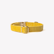 Yellow - Velvet Dog Collar – Dog Collars by FURLOU