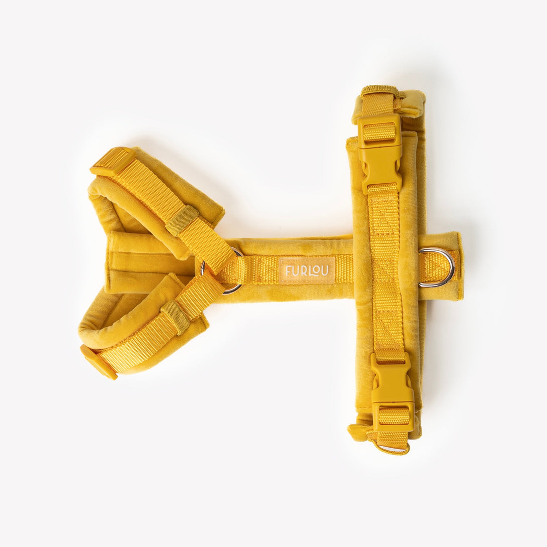 Yellow - Velvet Dog Harness – Dog Harnesses by FURLOU