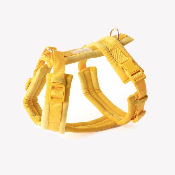 Yellow - Velvet Dog Harness – Dog Harnesses by FURLOU