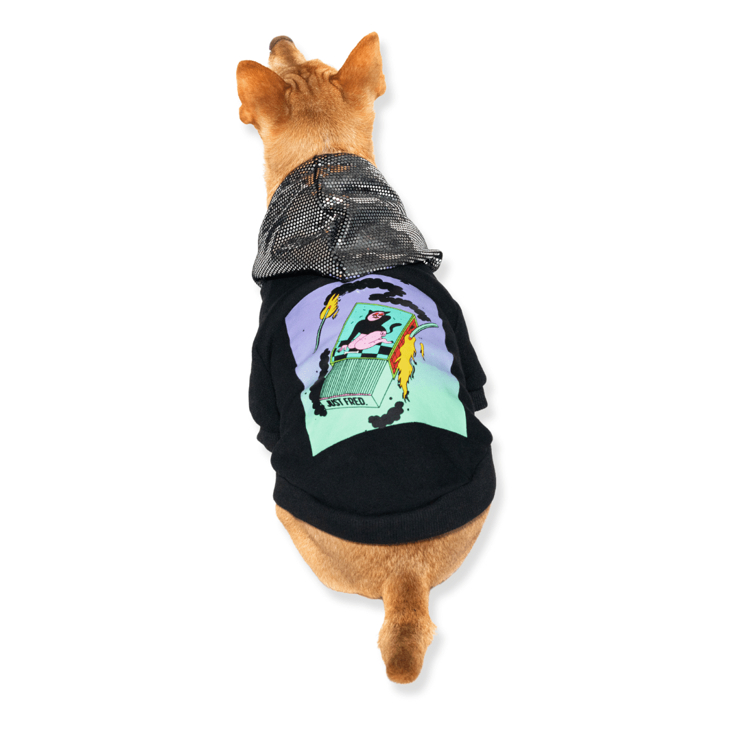 Ziggy Dog Hoodie. – Sweaters & Hoodies by JUST FRED.